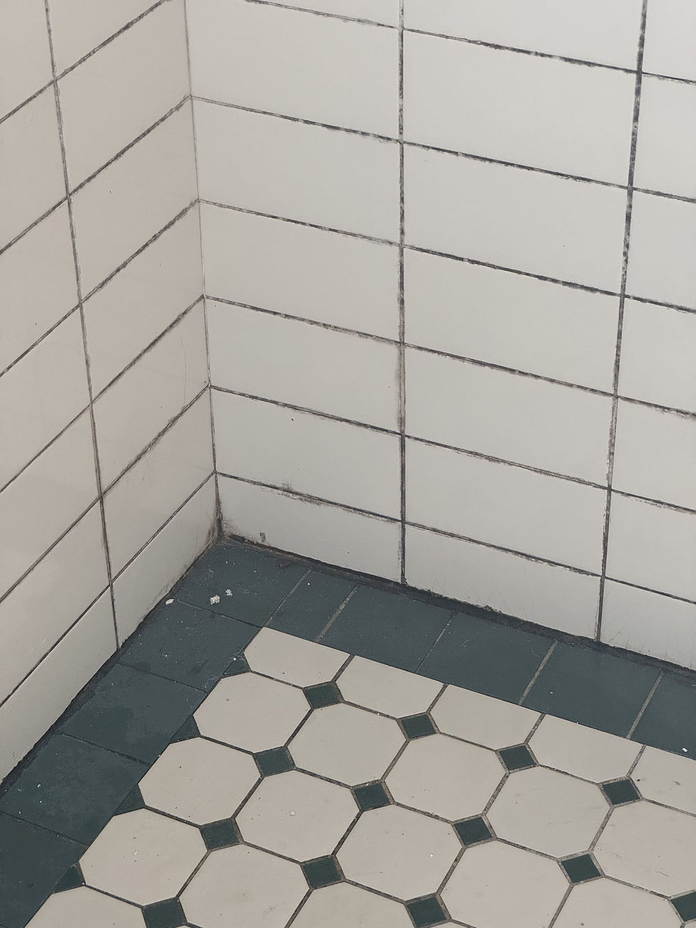 Before resurfacing, the shower tiles are moudly and a prominent teal feature tile pattern is on the shower floor. 