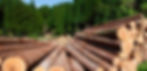 Timber Supplier Malaysia