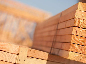 Timber Supplier Malaysia | Wide Range of Species