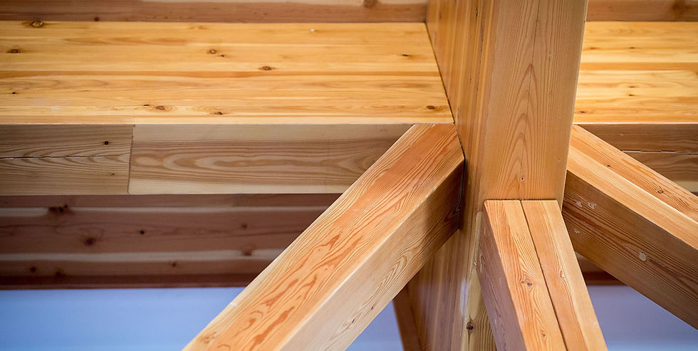 Timber Contractor Malaysia