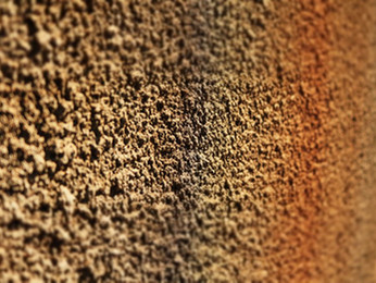 Texture Paint