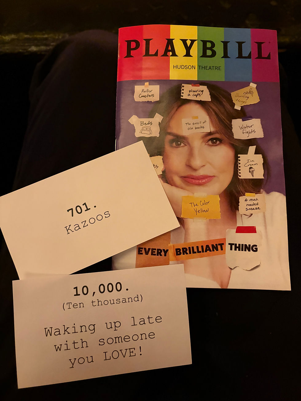 Every Brilliant Thing