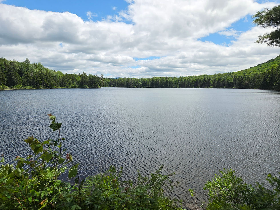 Sunday Hike 10/19 East Pond Loop