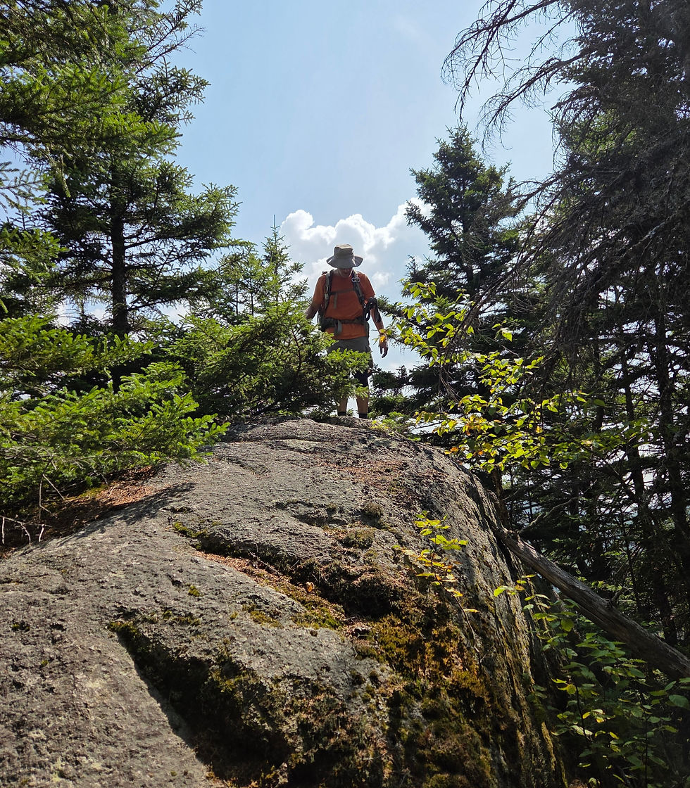 Sunday Hike 7/5/26 Cole Hill, Easton