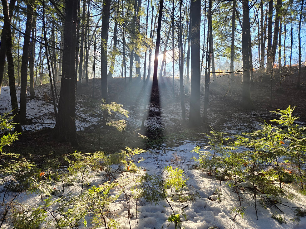 Speaker Series 6/5/2026, Conservation and Burial in NH, Lee Webster