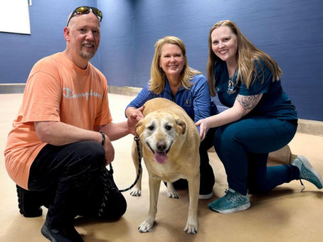 We Were Running Out of Options… Until ARC Stepped In: An Update from Kelli