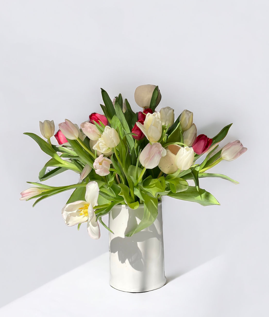 Tulips