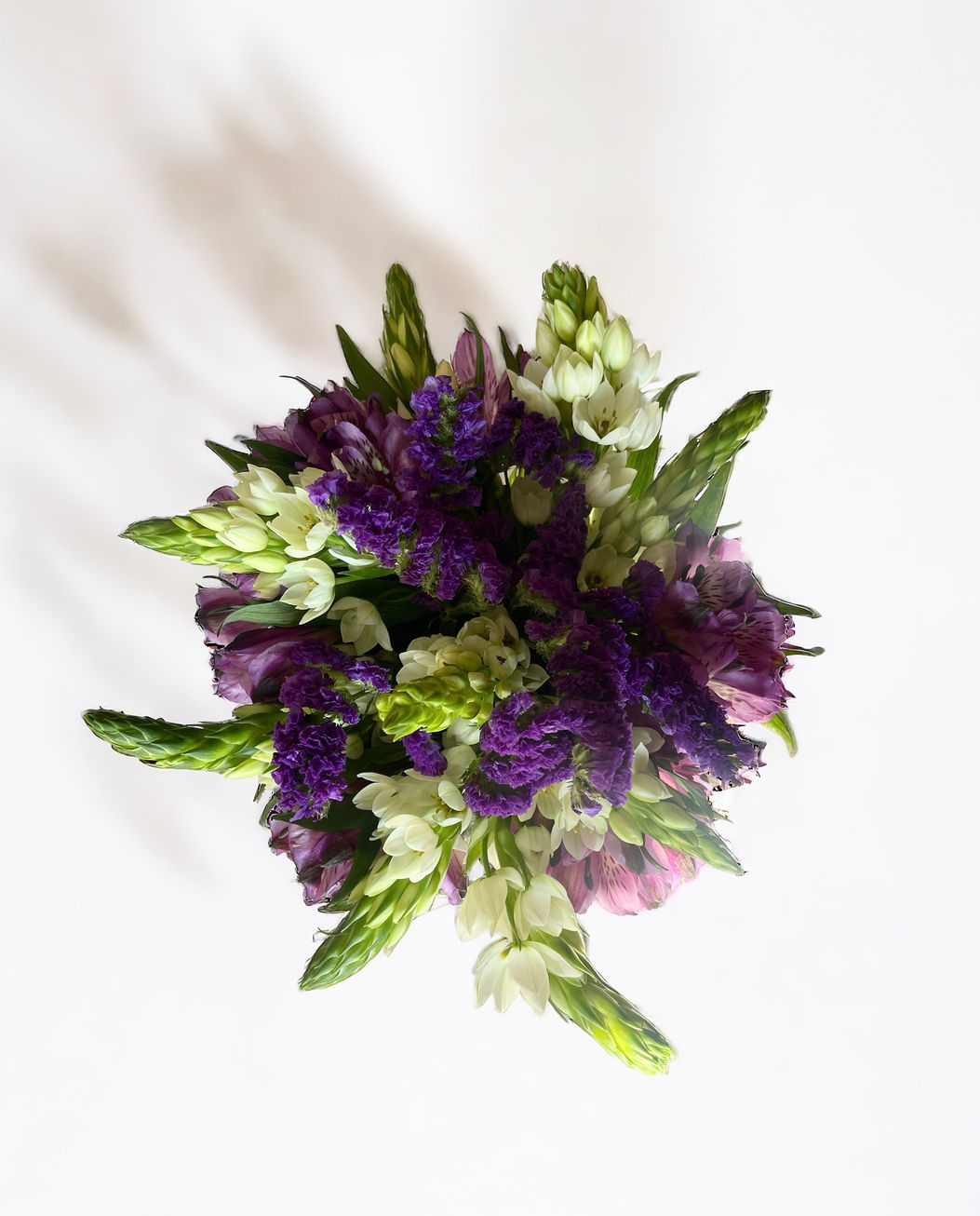 Purple Tone Flowers