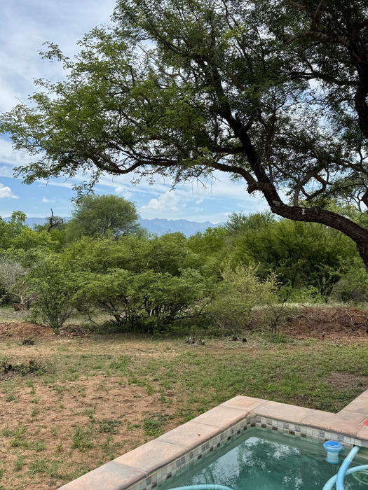 View from Little Leadwood's patio 