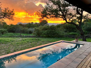 Magic in the Bush at Little Leadwood