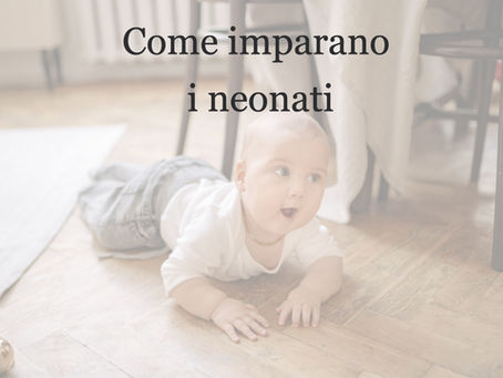 Come fa un bambino ad imparare così tante cose nel 1° anno di vita?