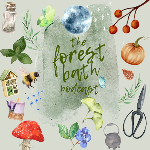 The Forest Bath Podcast Logo