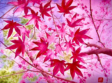 Y Ogaki Maple Leaves.jpeg