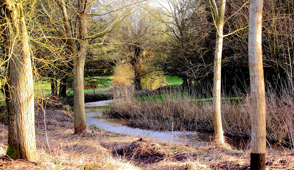 Isington Views 27th January 2022 Hampshire