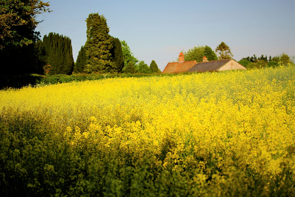 June 2018 Binsted Hampshire