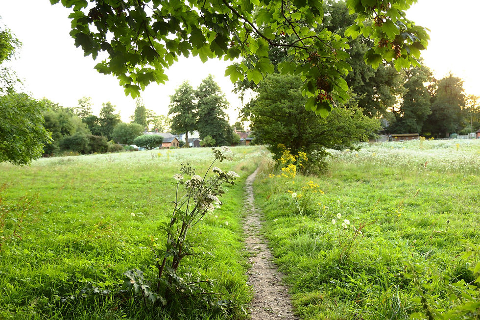 Chawton Views 11th August 2024 Hampshire