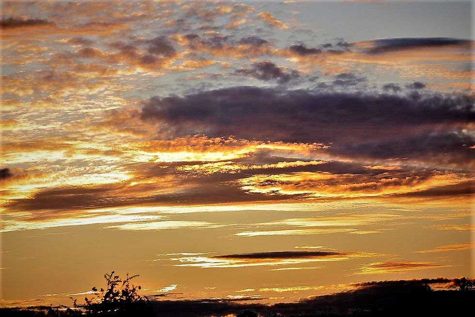 Sunset in Chawton 24th August