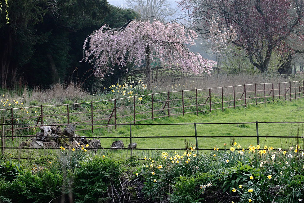 Isington Views 23rd March 2026 Hampshire