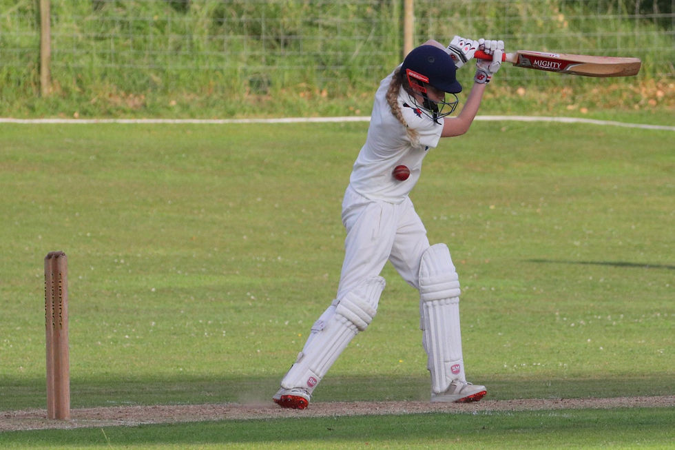 Cricket Match in Chawton 29th June 2024 Hampshire