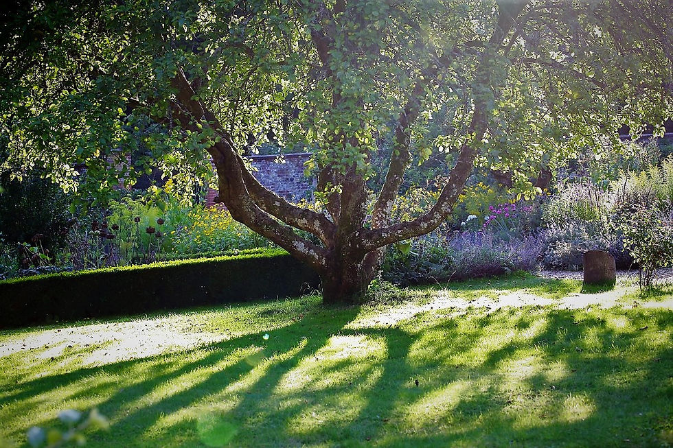 Chawton Views 25th August