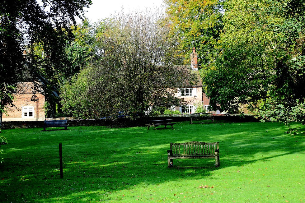 Chawton Views 15th October