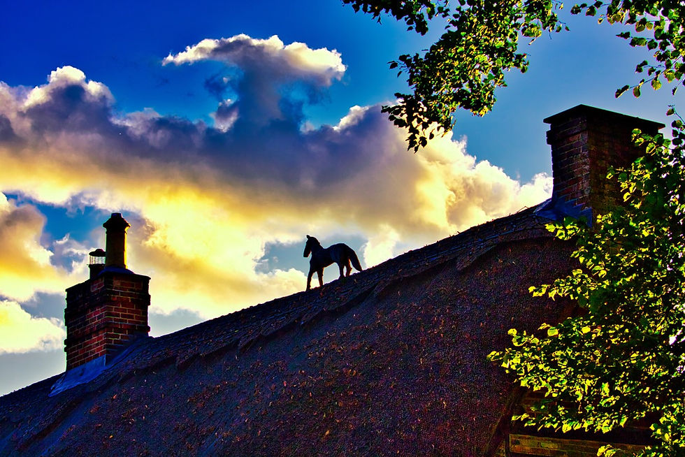 Chawton Views 10th October 2020