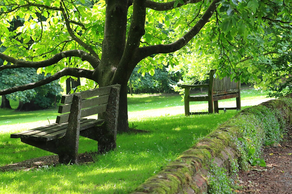 Chawton Views 18th June 2024 Hampshire