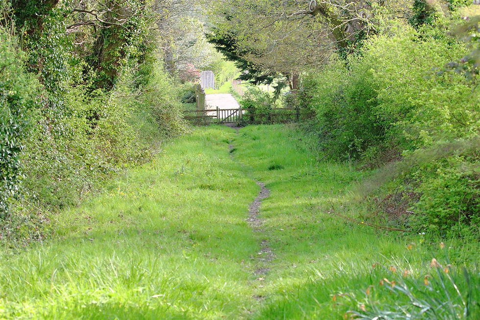 Kingsley Views 17th April 2026 Hampshire