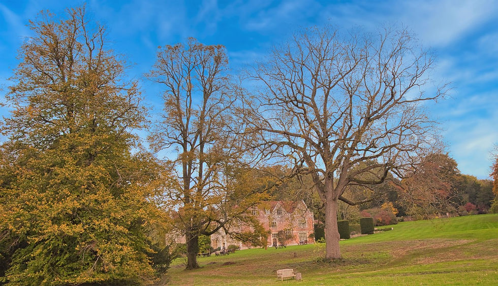 Chawton House & Garden 12th October 2020