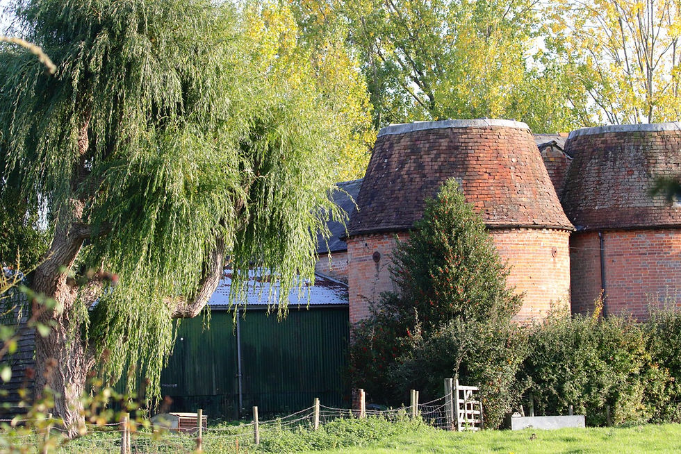 Isington Views 9th October 2025 Hampshire