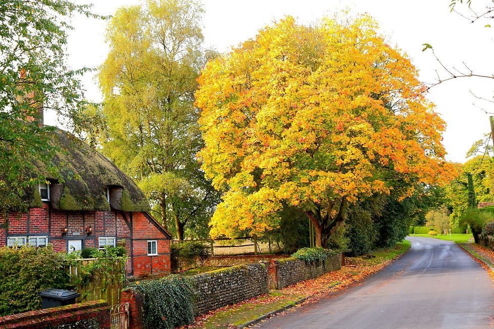 Chawton Views 3rd October 2021 Hampshire