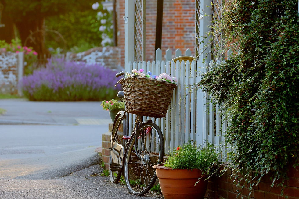 Chawton Views July 3rd 2019