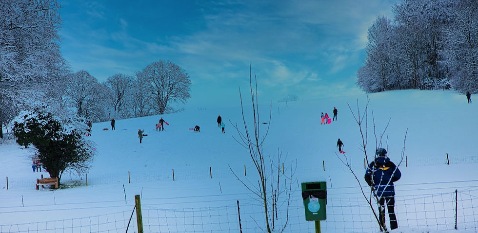 Chawton Views 25th January 2021