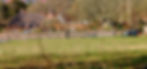 Chawton Views 1st April 2025 Hampshire