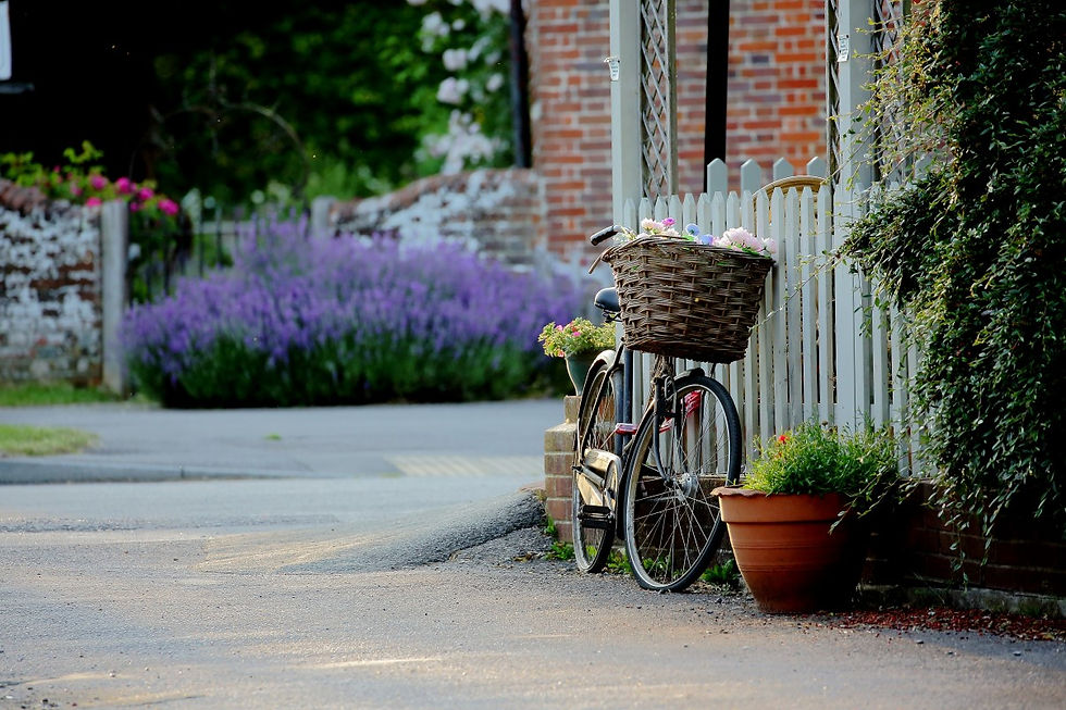 Chawton Views July 3rd 2019