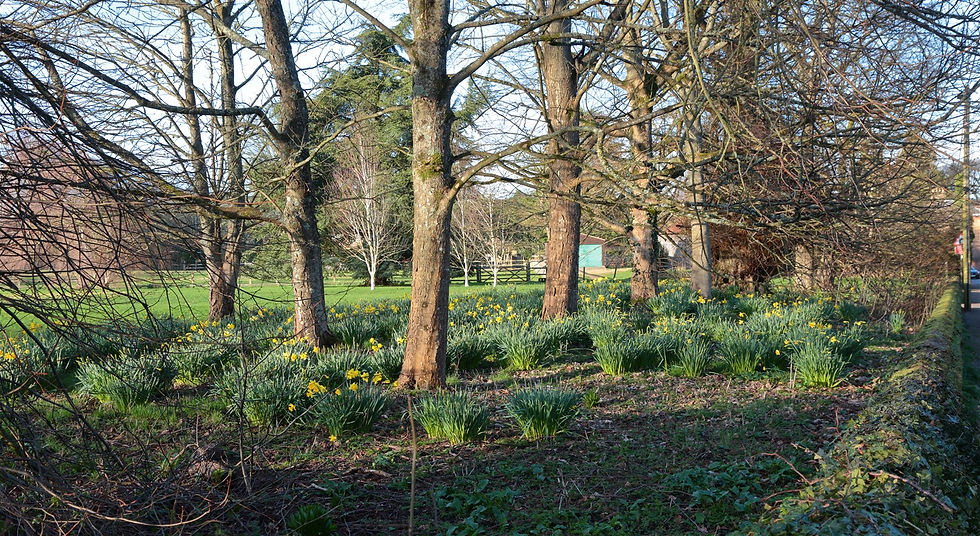 Chawton Views 24th February 2026 Hampshire