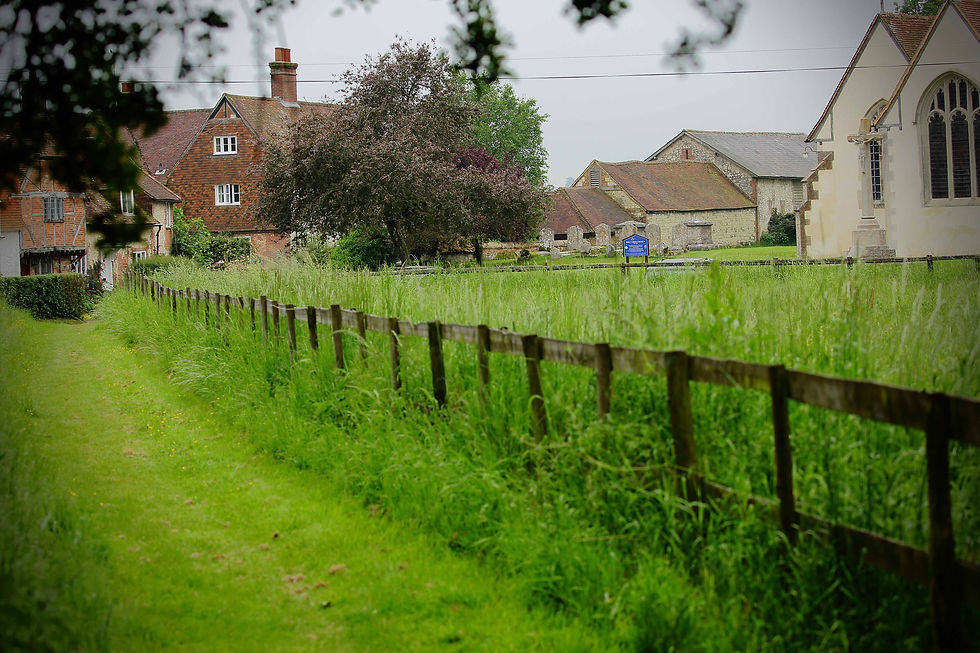 June 2018 Binsted Hampshire