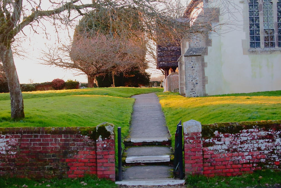 Binsted Views 27th January 2022 Hampshire