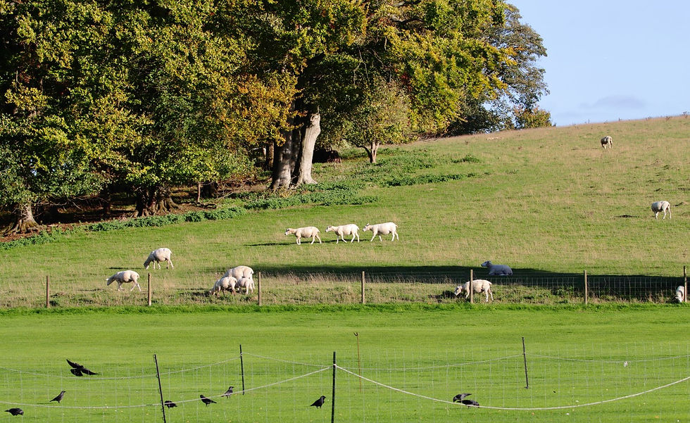 Chawton Views 6th October 2025 Hampshire