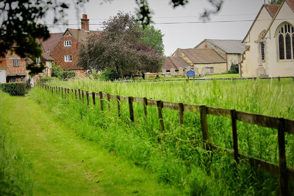 June 2018 Binsted Hampshire