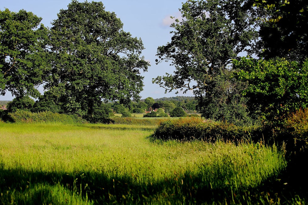 Kingsley Views May 2019