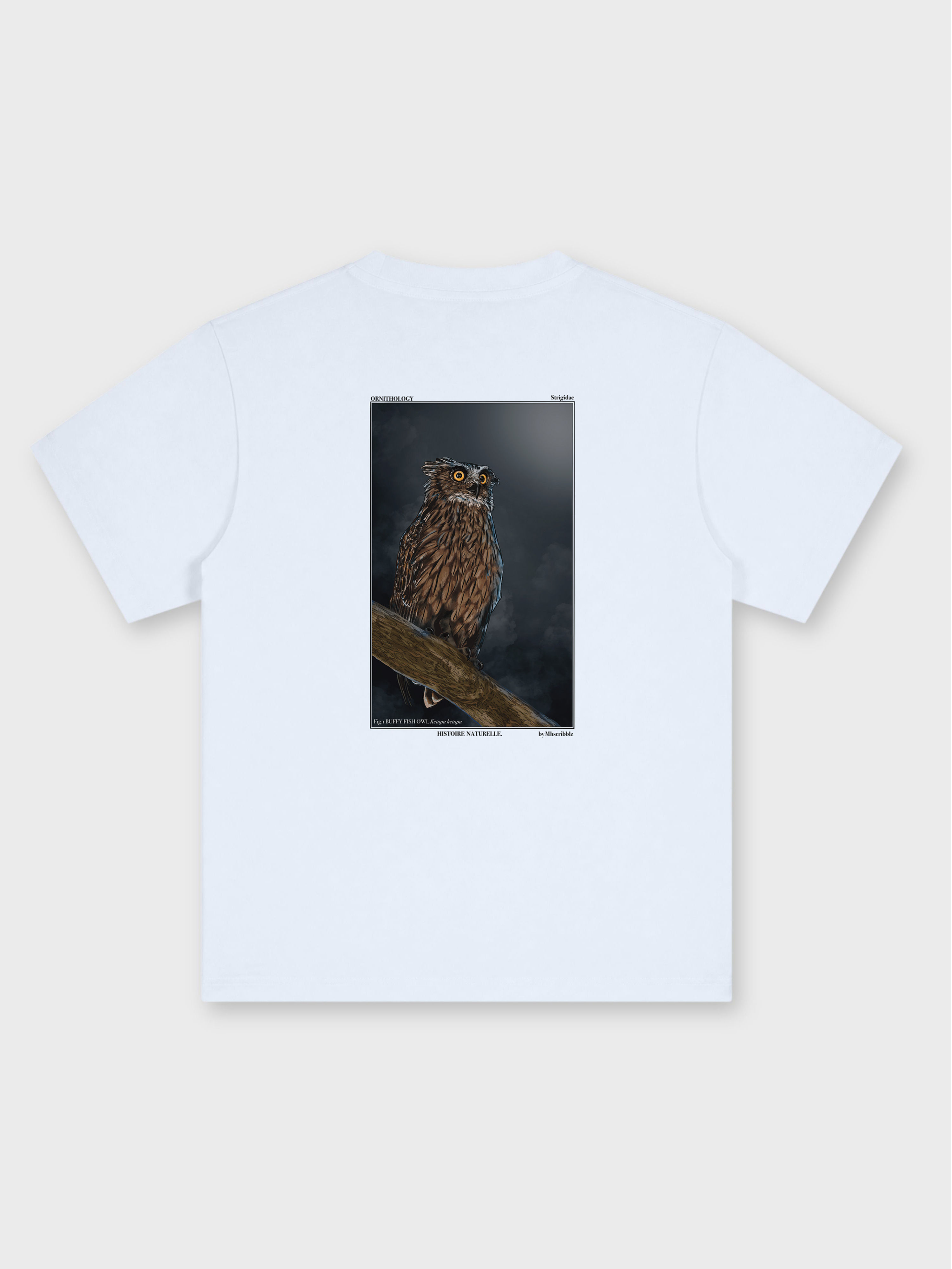 MHscribblz / BUFFY FISH OWL OVERSIZED PRINTED TEE