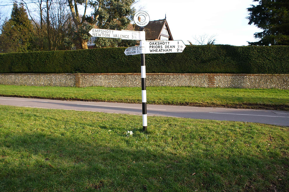 Hawkley Hampshire March 2018