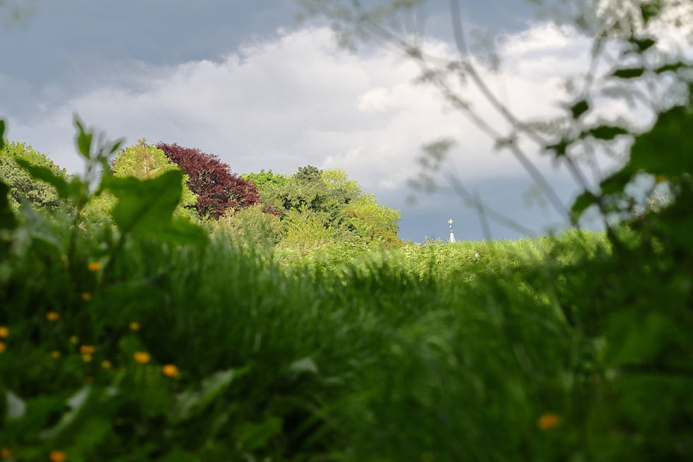 Binsted Views 16th June 2024 Hampshire