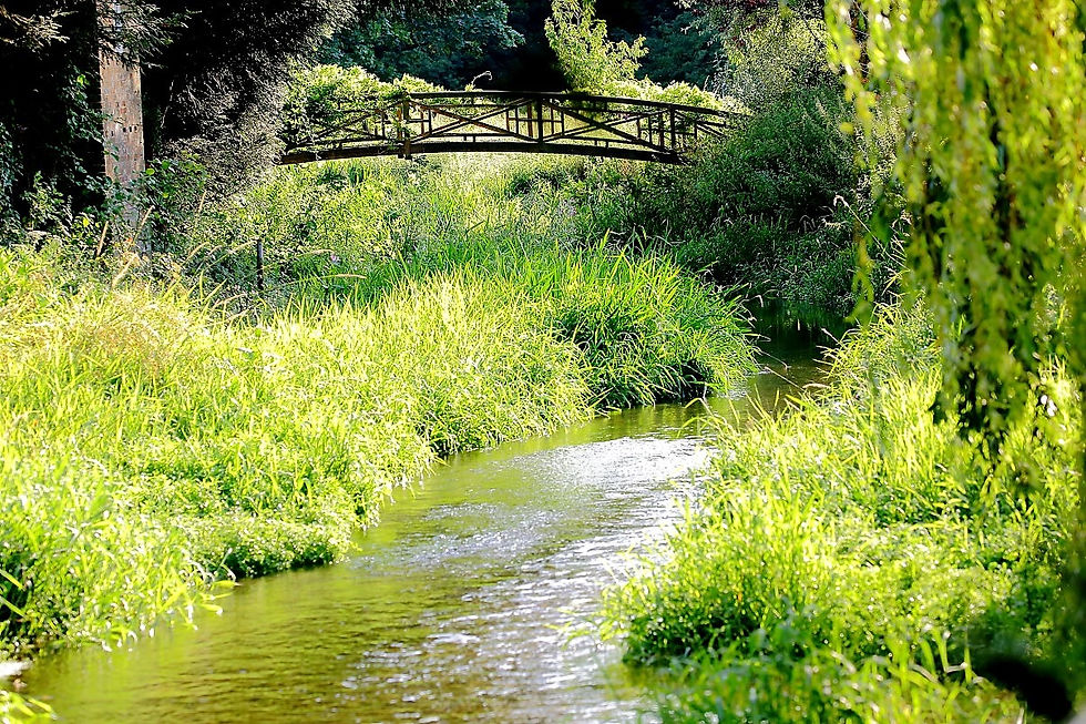 Isington Views August 7th