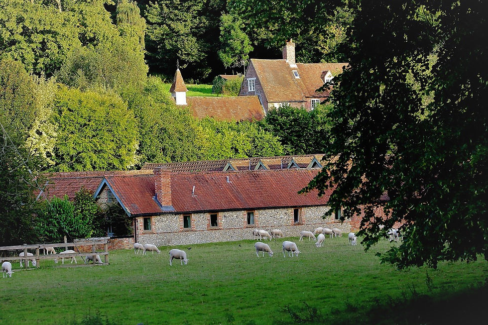 Chawton Views 25th August