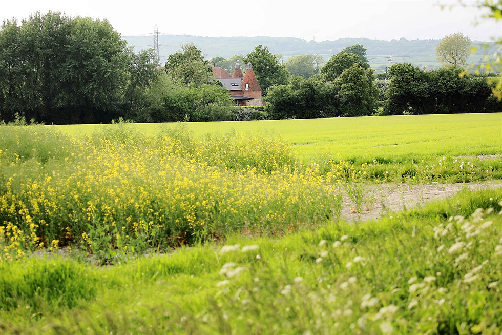 June 2018 Binsted Hampshire