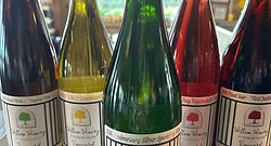 newwines2024.jpeg