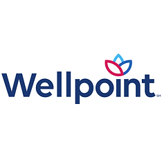 wellpoint square.png