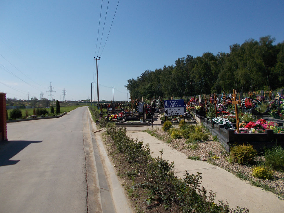 Центральная дорога